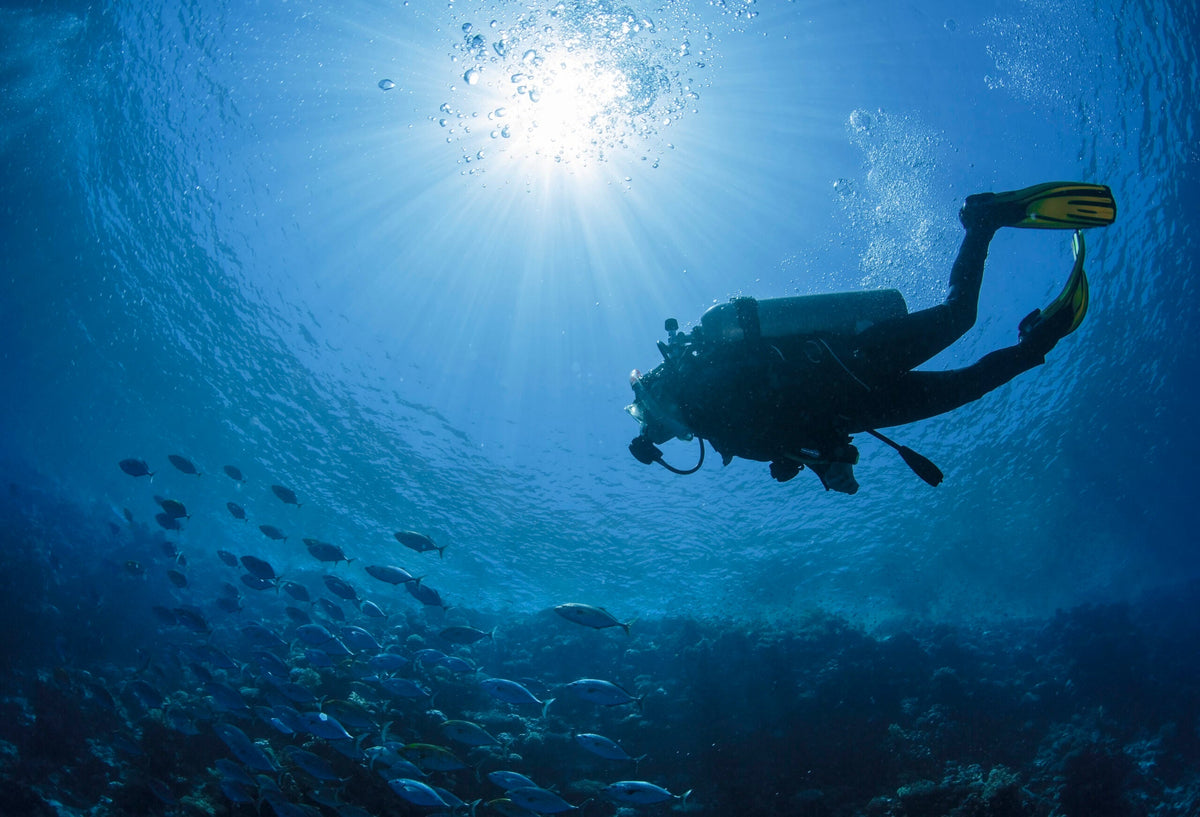 Diving into the IWC Aquatimer Collection