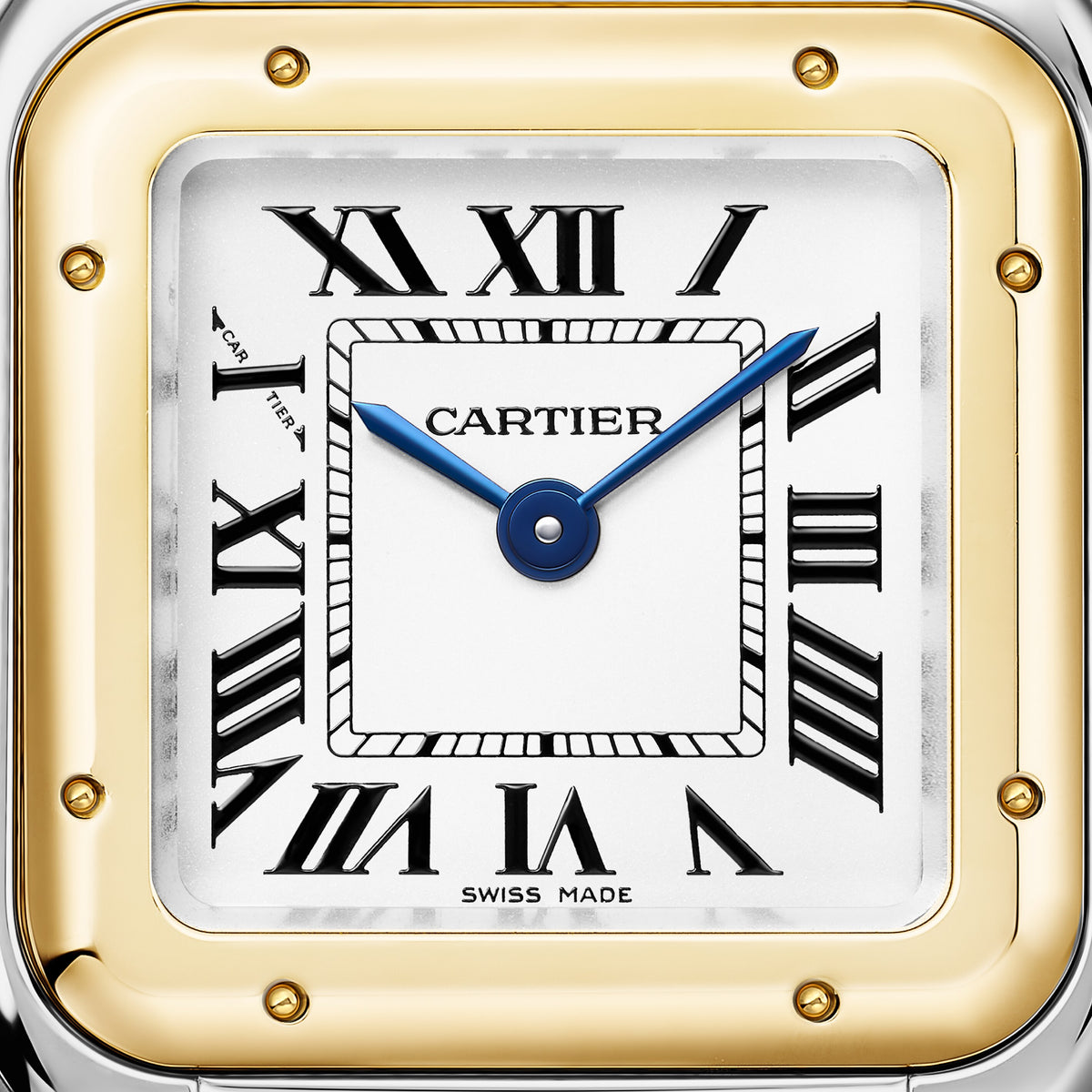 Panthère De Cartier Small Model in Steel and 18ct Yellow Gold Quartz W2PN0018