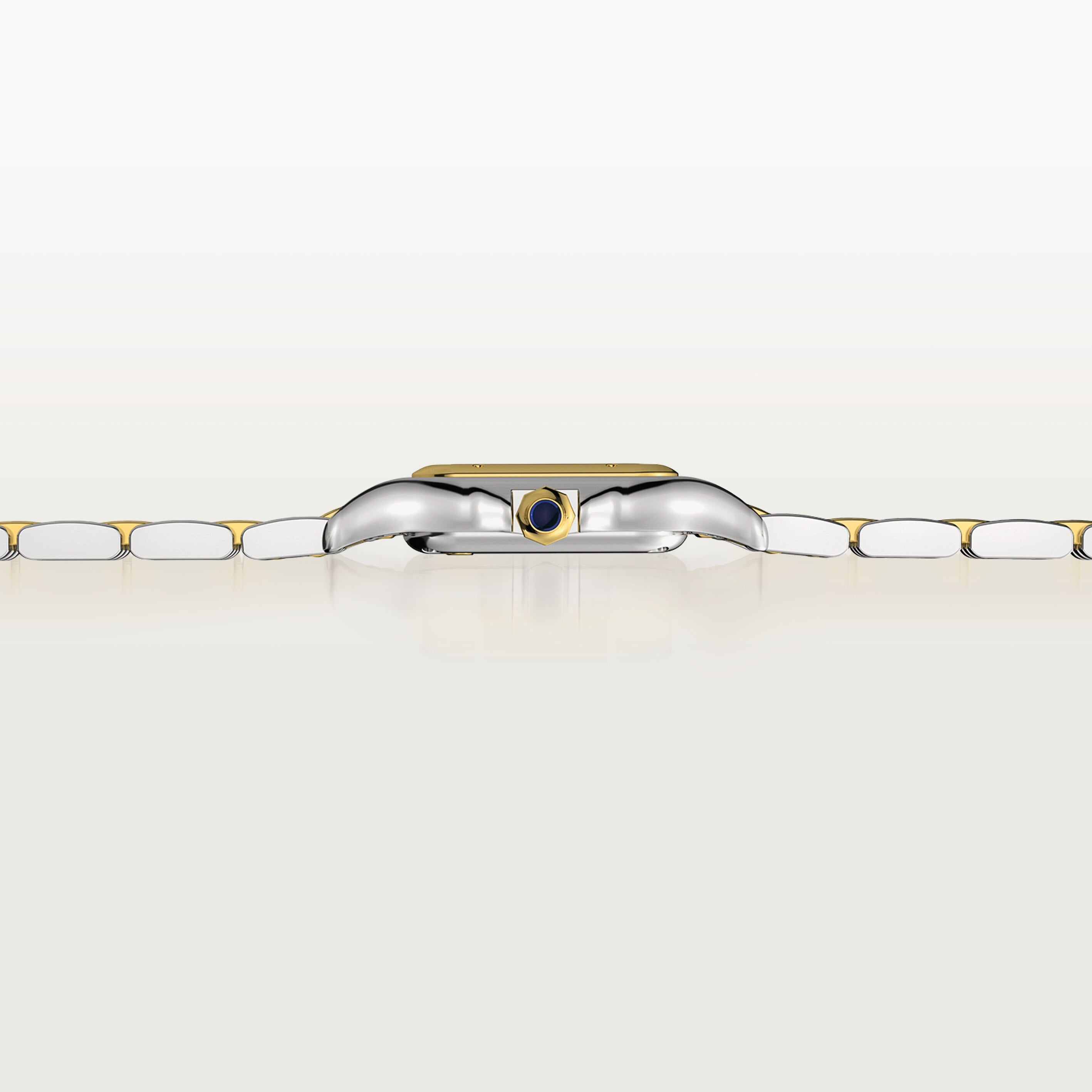 Panthère De Cartier Small Model in Steel and 18ct Yellow Gold Quartz W2PN0018