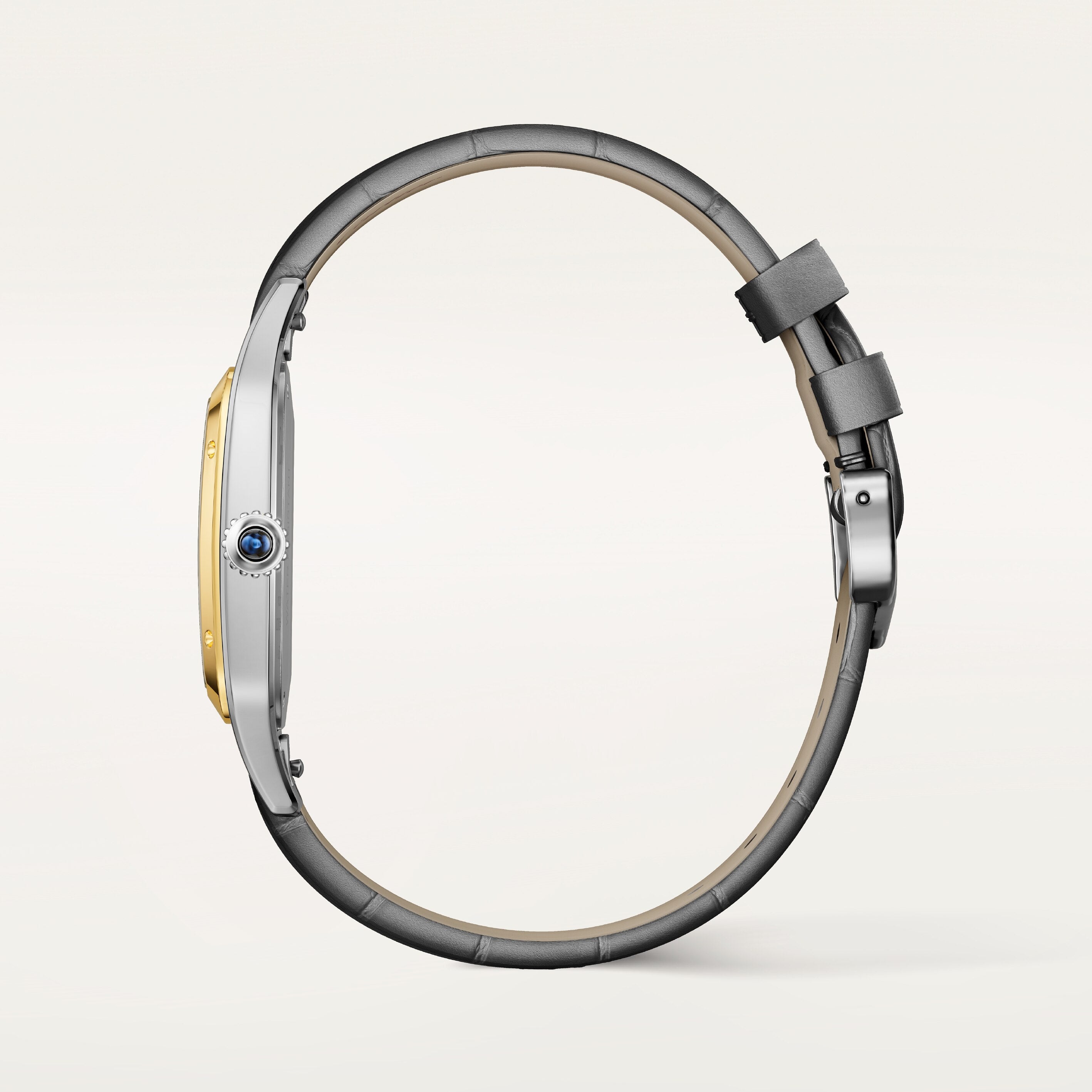 Santos-Dumont de Cartier | Large Model | W2SA0046