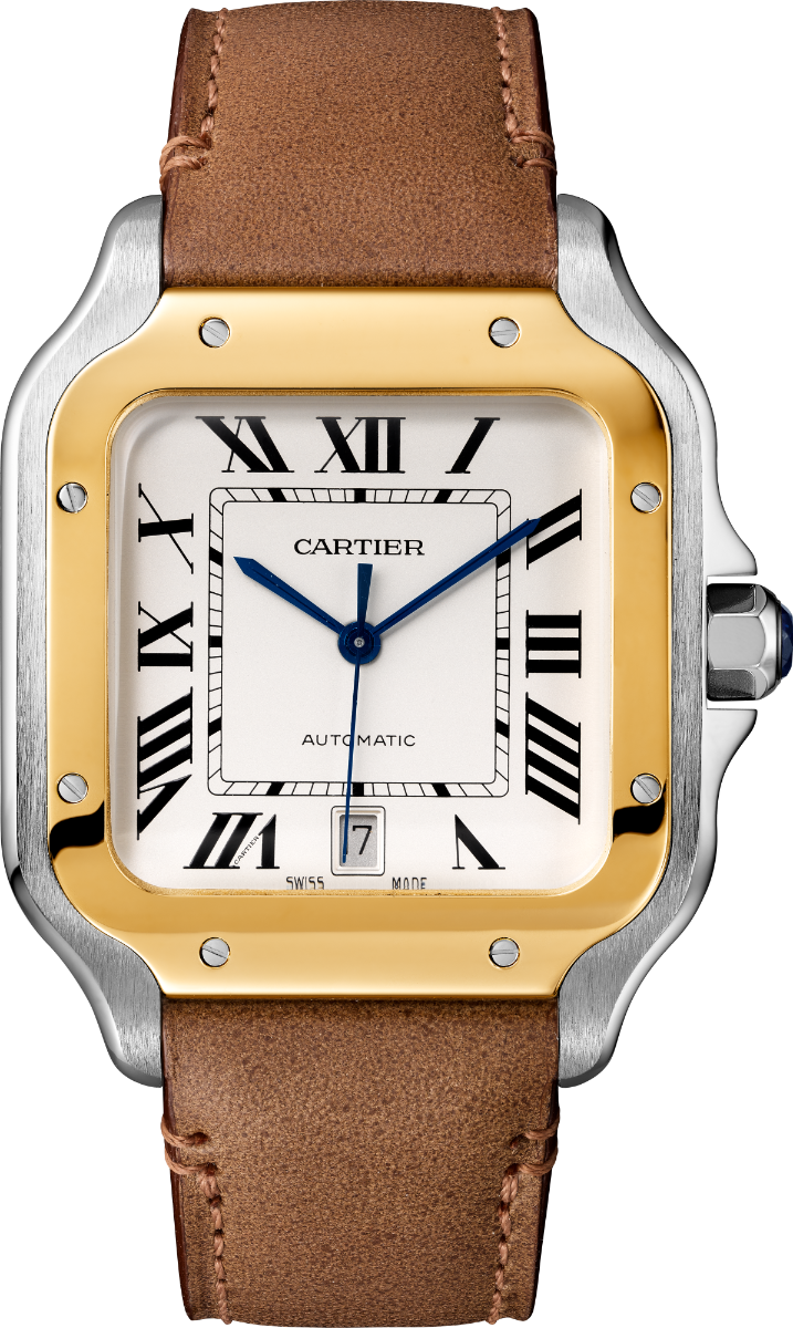 Santos de Cartier Large Model | W2SA0009