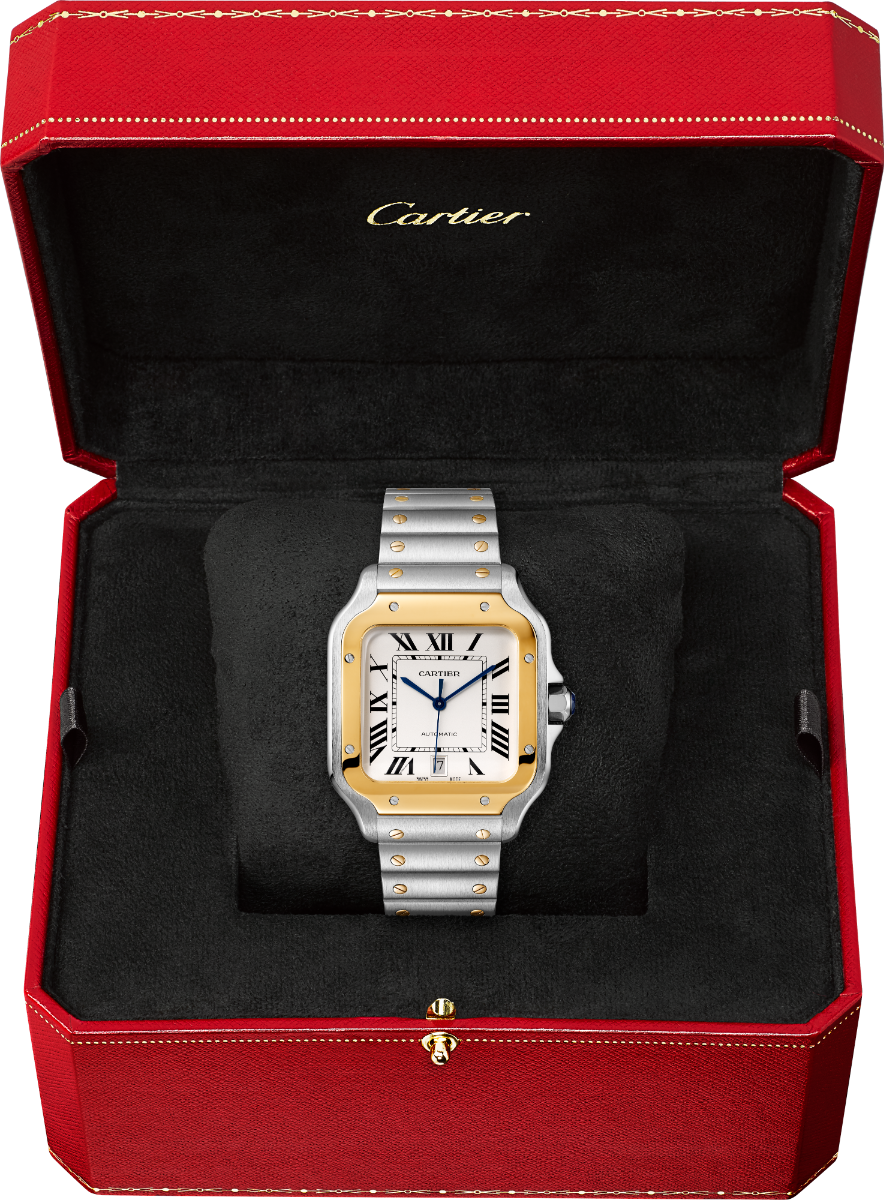 Santos de Cartier Large Model | W2SA0009
