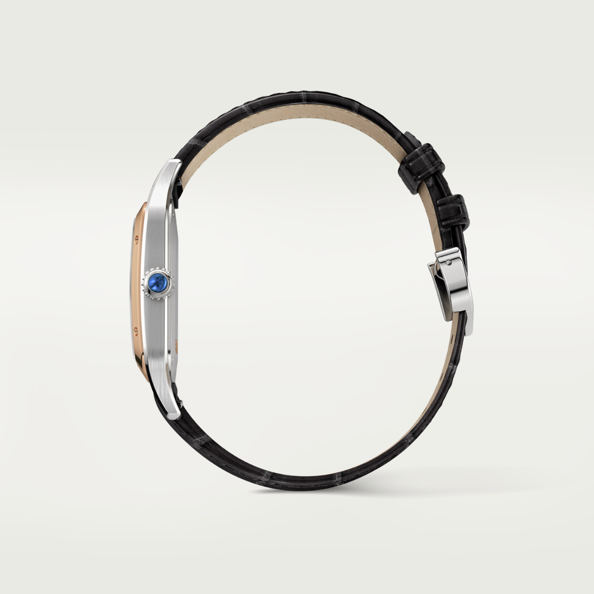 Santos-Dumont de Cartier Large Model | W2SA0037