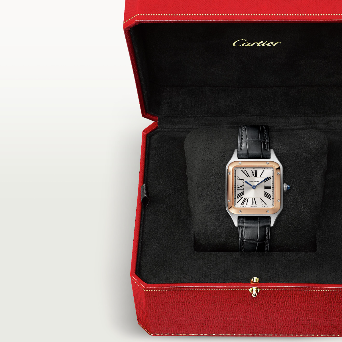 Santos-Dumont de Cartier Small Model | W2SA0012