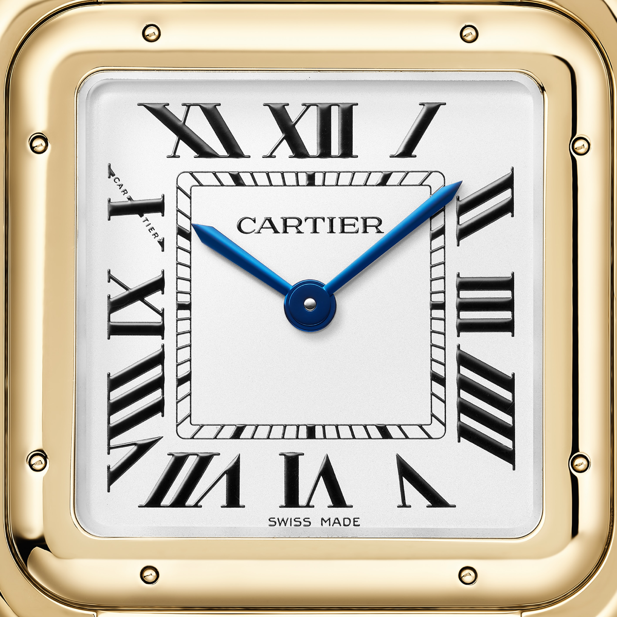 PANTHÈRE DE CARTIER WATCH LARGE MODEL | WGPN0051