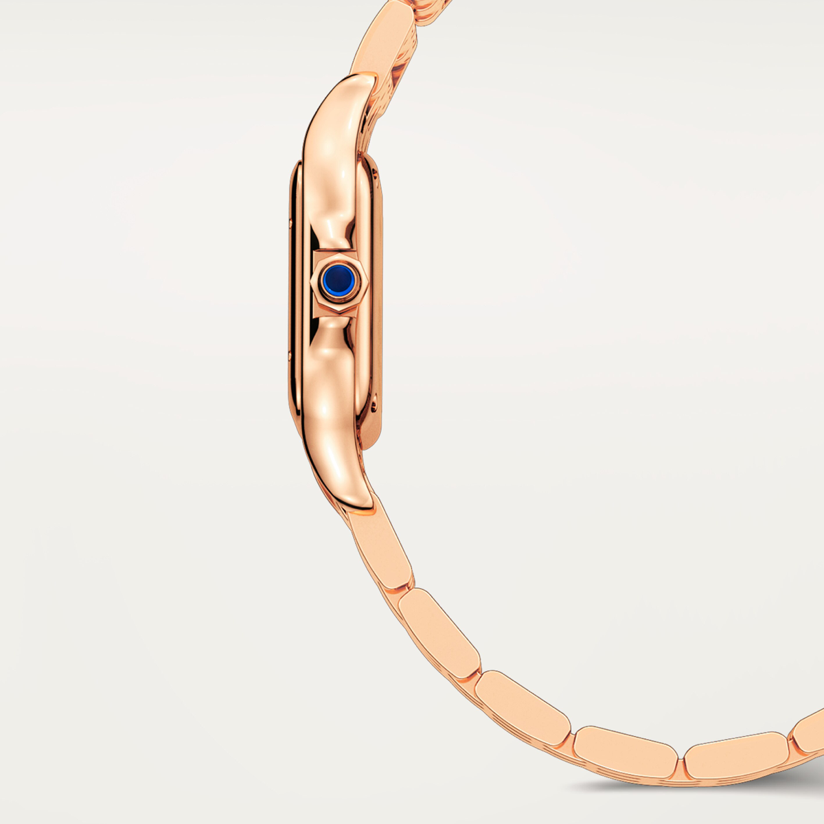 Panthère de Cartier | Small Model | WGPN0060