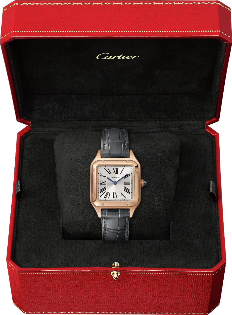 Santos-Dumont de Cartier Small Model | WGSA0022