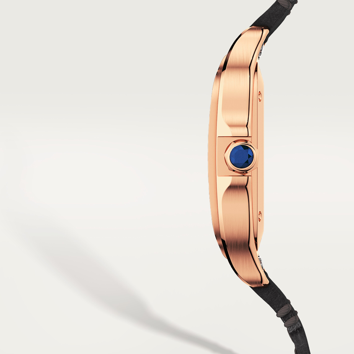 Santos De Cartier Medium Model | WGSA0028