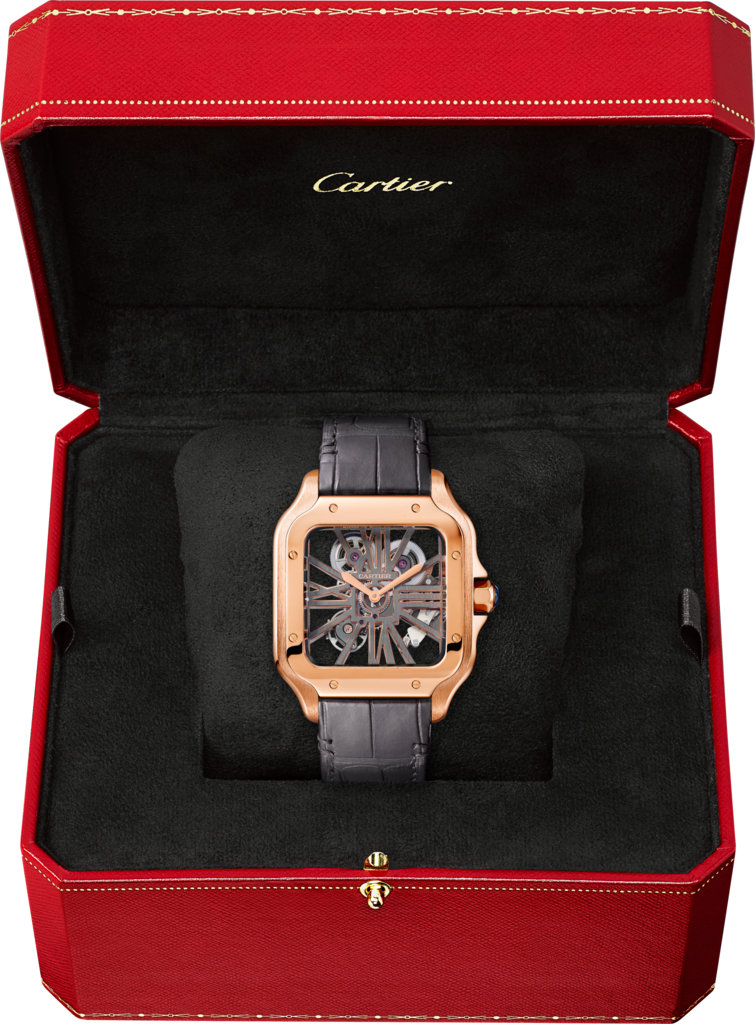 Santos de Cartier Large Model