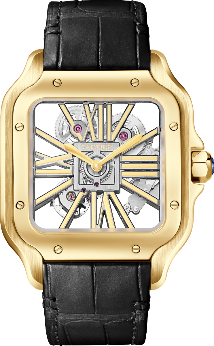 Santos de Cartier Skeleton Large Model | WHSA0042