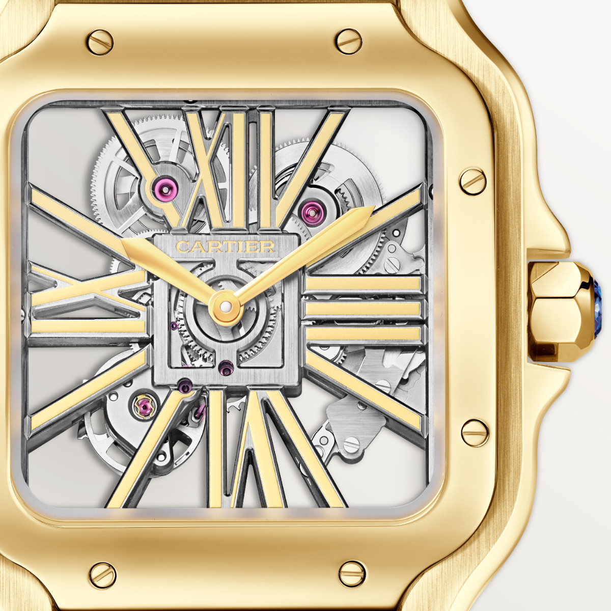Santos de Cartier Skeleton Large Model | WHSA0042