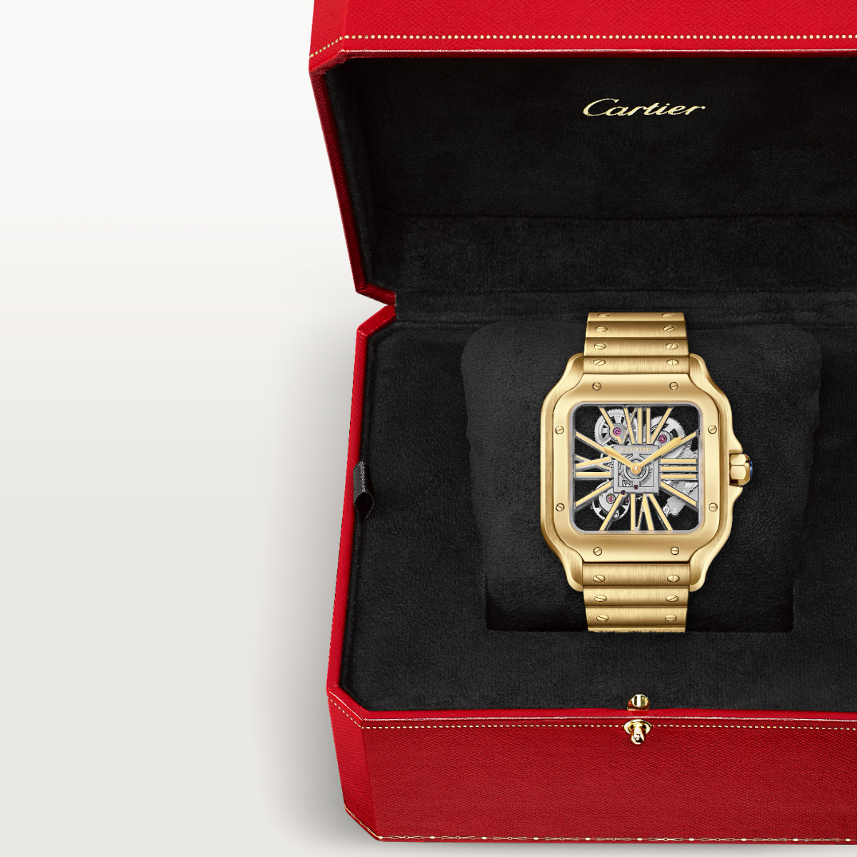 Santos de Cartier Skeleton Large Model | WHSA0042