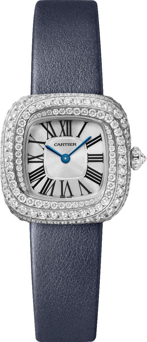 Coussin de Cartier Small Model