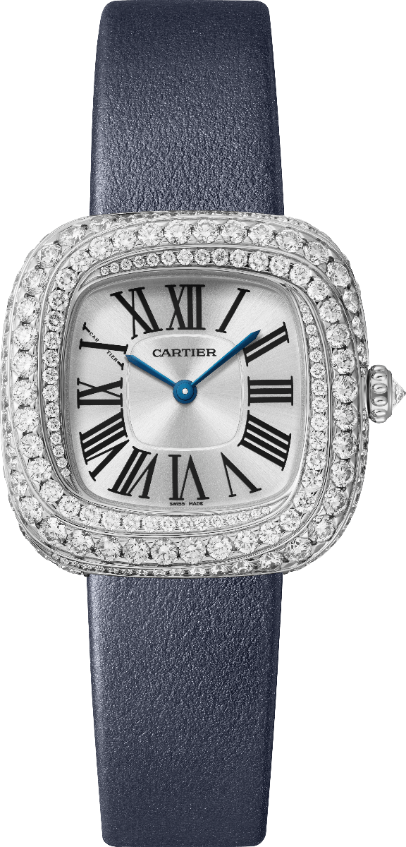 Coussin de Cartier Medium Model