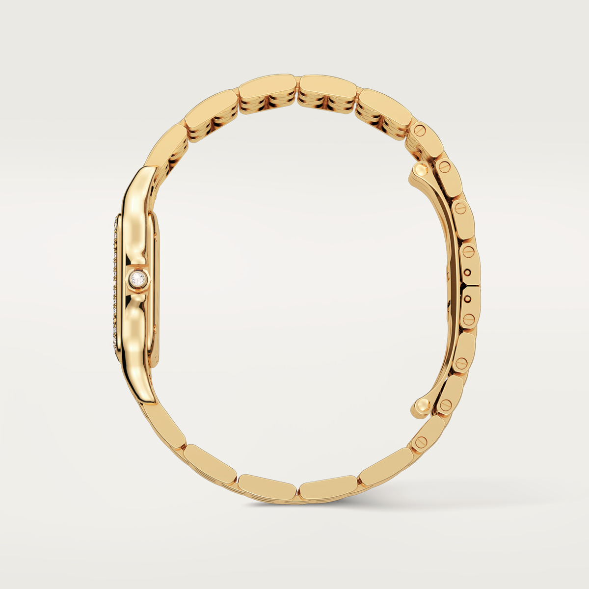 Panthère de Cartier | Medium Model | WJPN0090