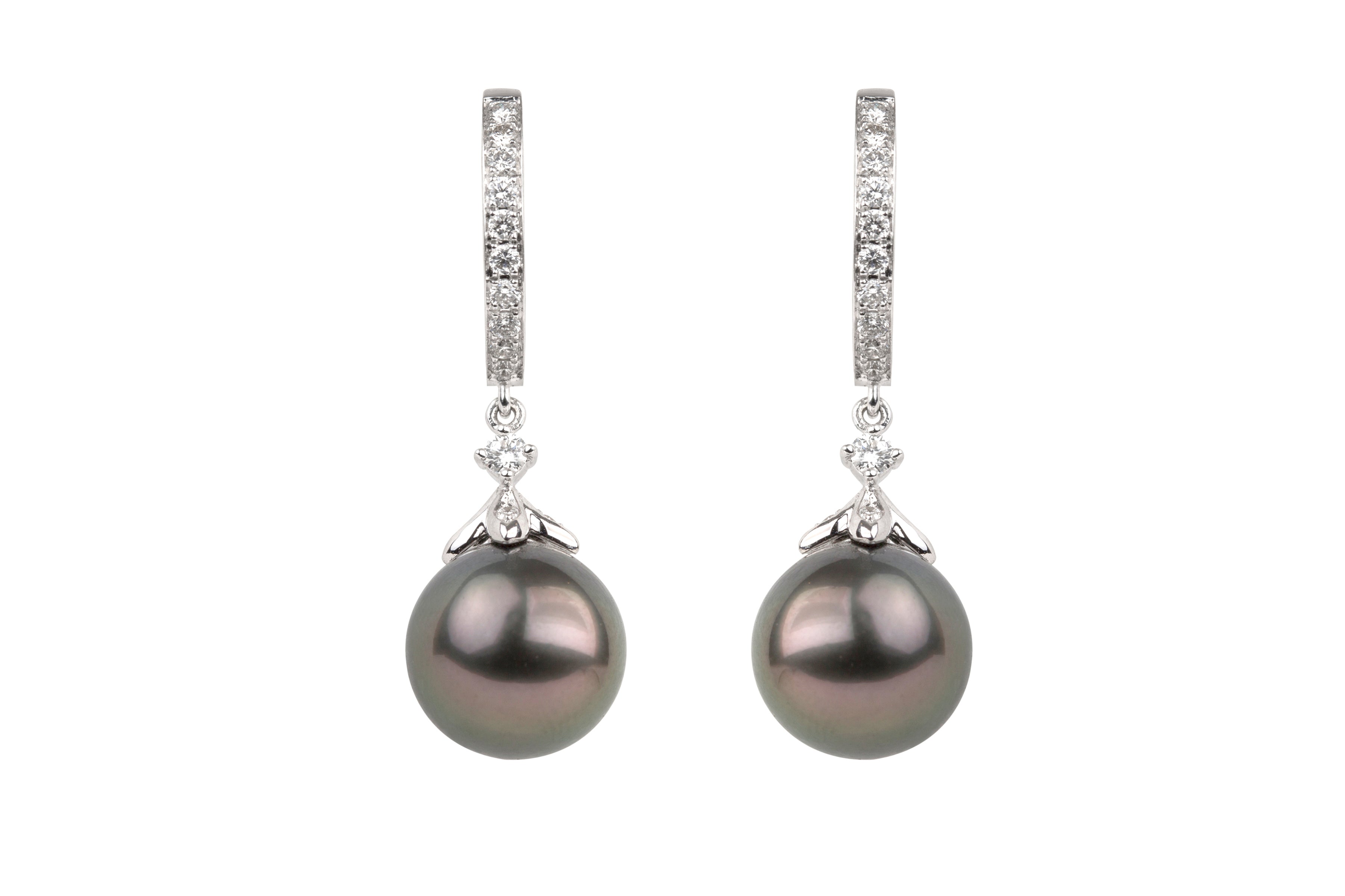 Tahitian Cultured Pearl & Diamond Hoop & Drop Earrings in 18ct White Gold