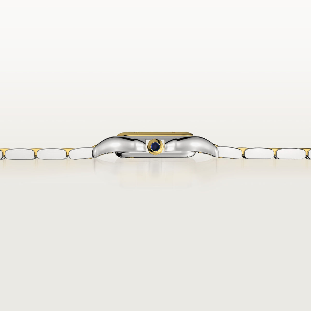 Panthère De Cartier Small Model in Steel and 18ct Yellow Gold Quartz W2PN0018