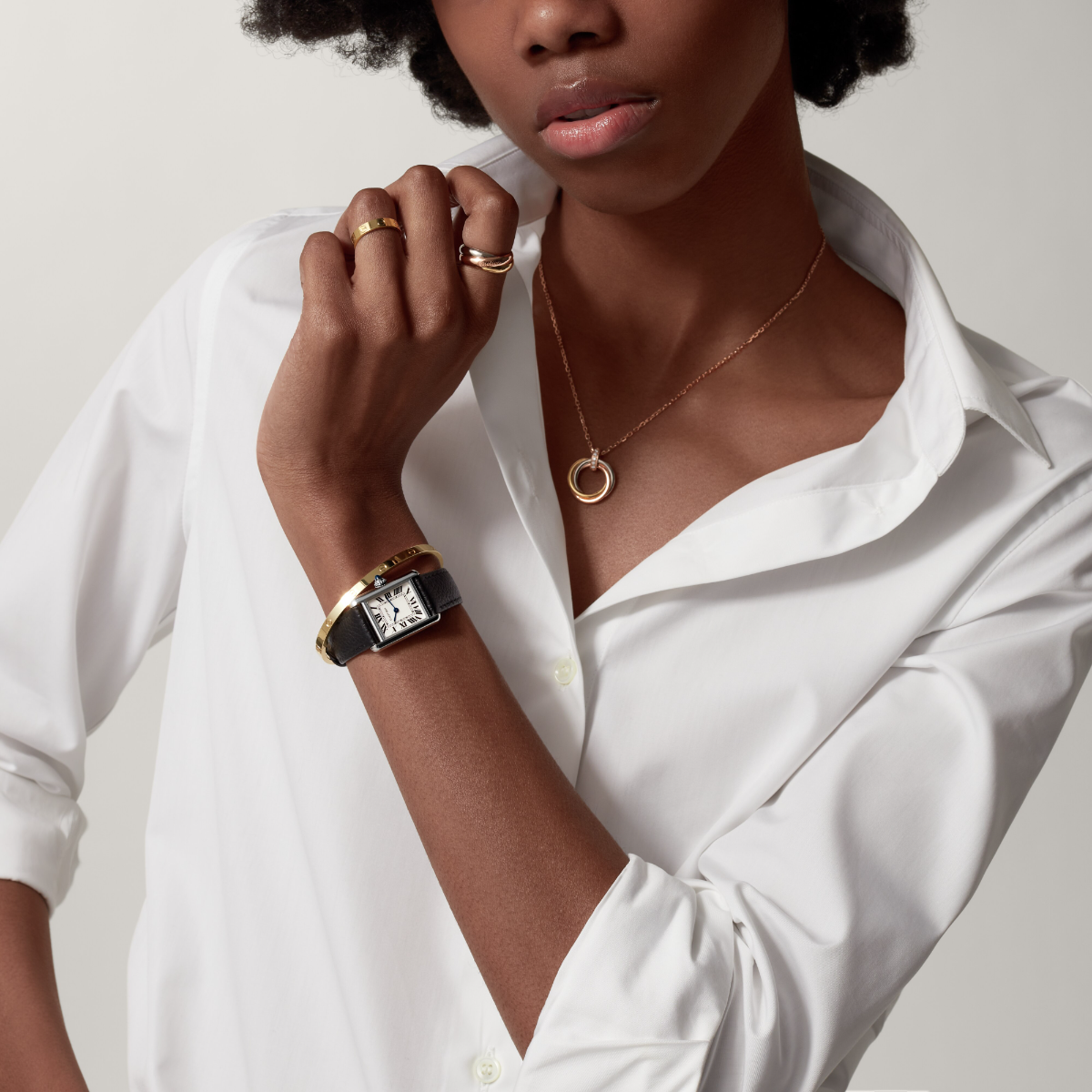 Tank Must de Cartier Small Model | WSTA0042