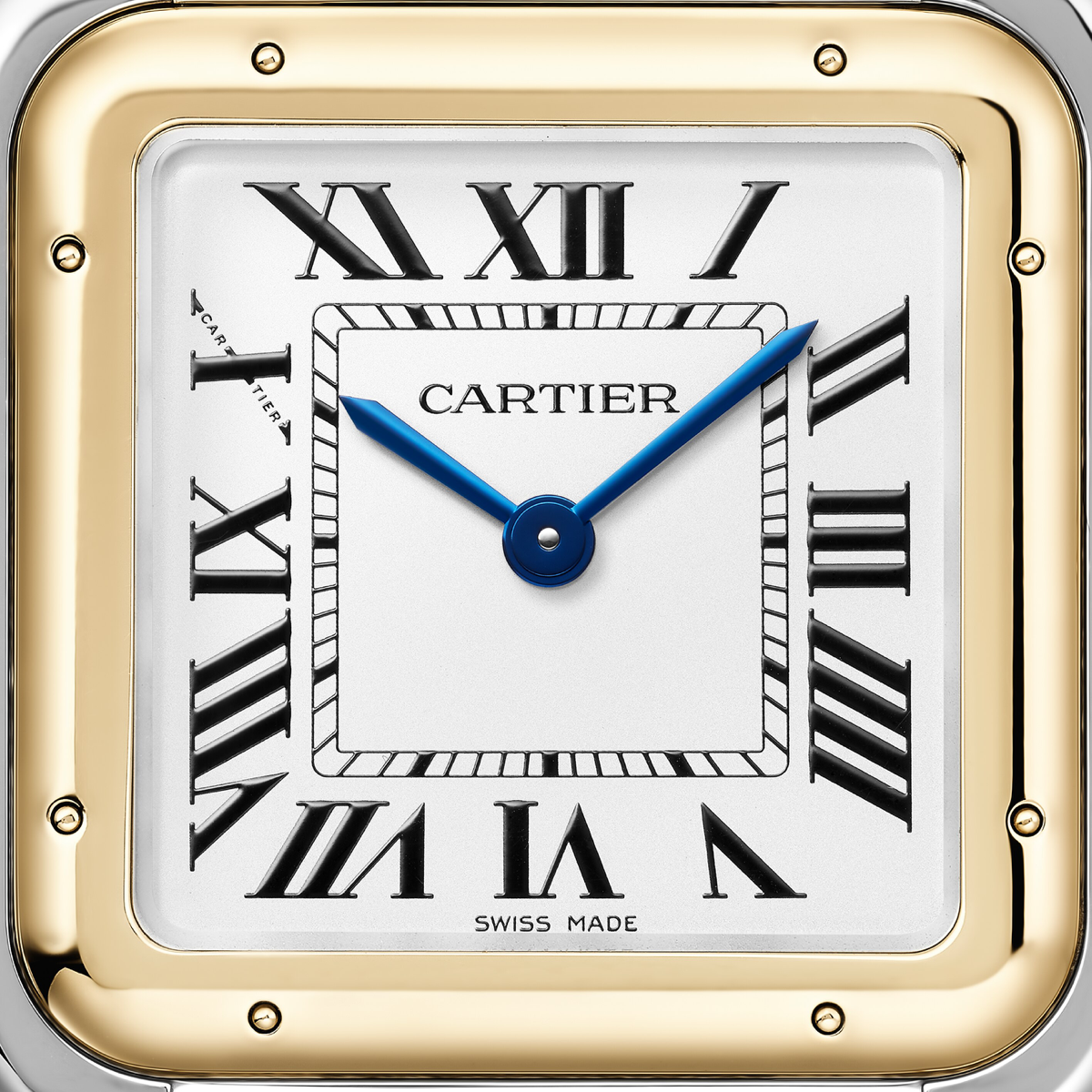 Panthère de Cartier Large Model | W2PN0012