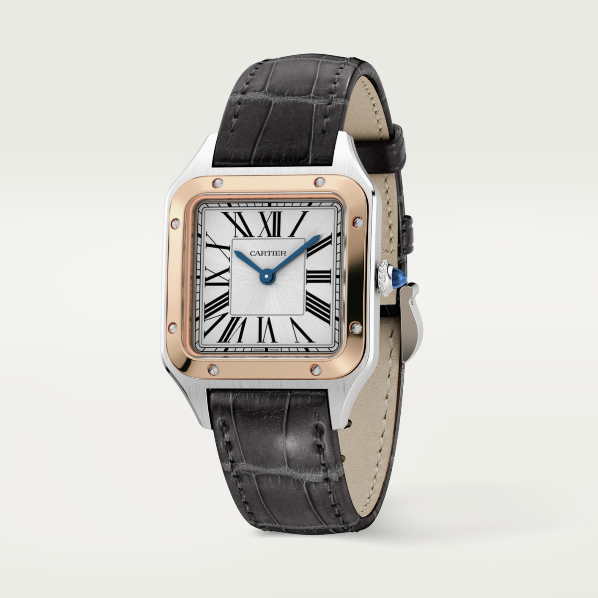Santos-Dumont de Cartier Small Model | W2SA0012
