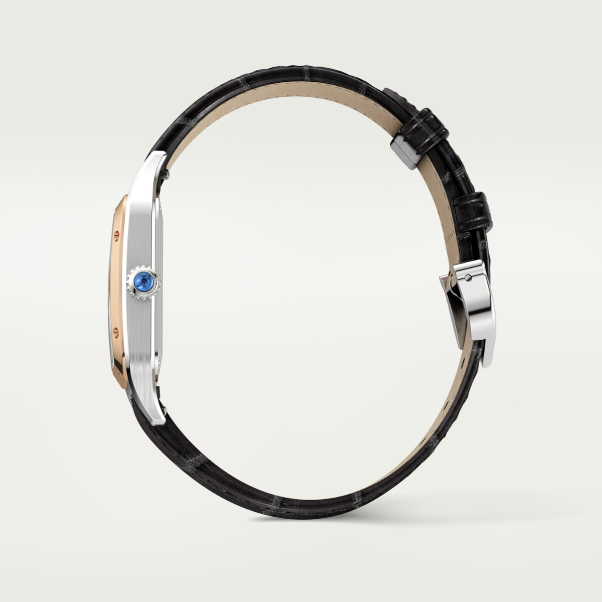 Santos-Dumont de Cartier Small Model | W2SA0012