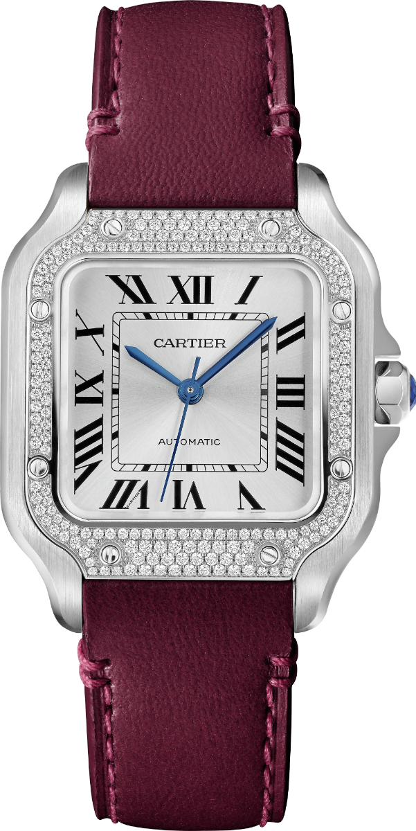 Santos de Cartier Medium Model | W4SA0005