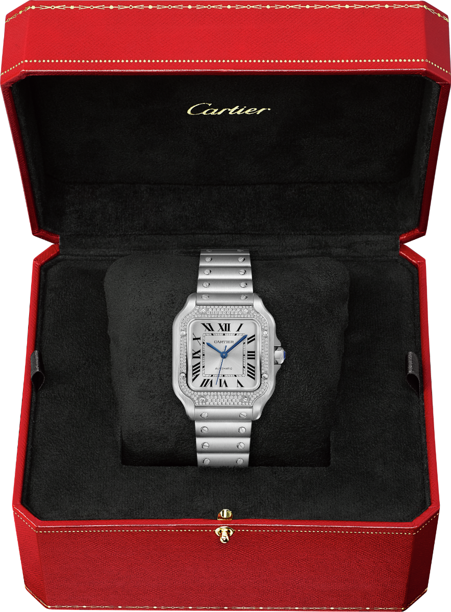 Santos de Cartier Medium Model | W4SA0005