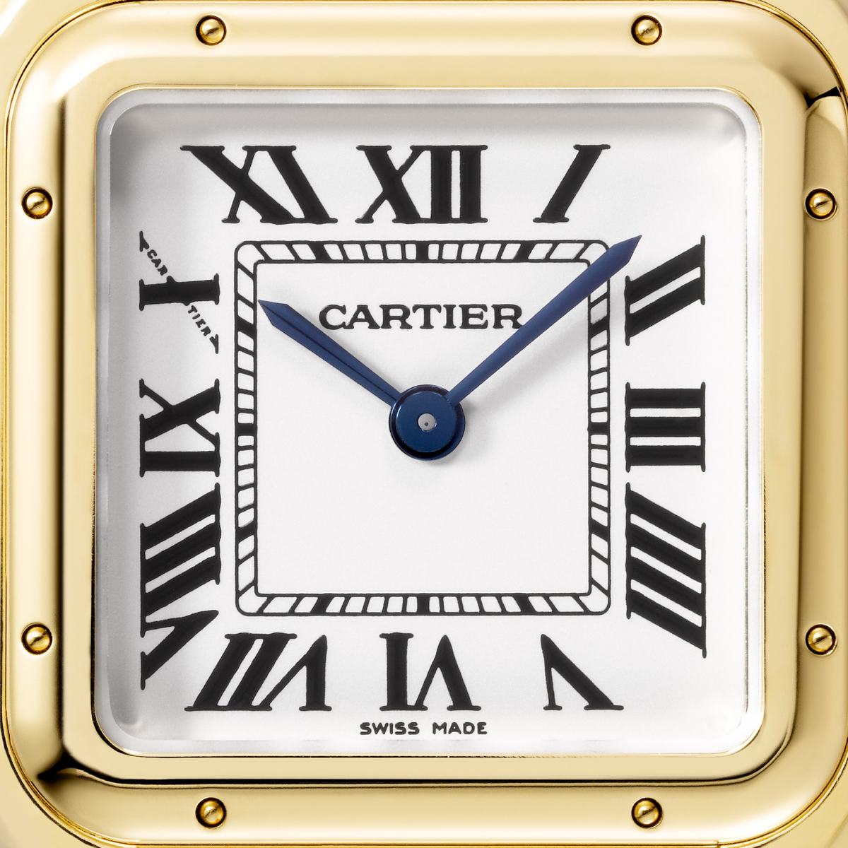 Panthère de Cartier | Medium Model | WGPN0058
