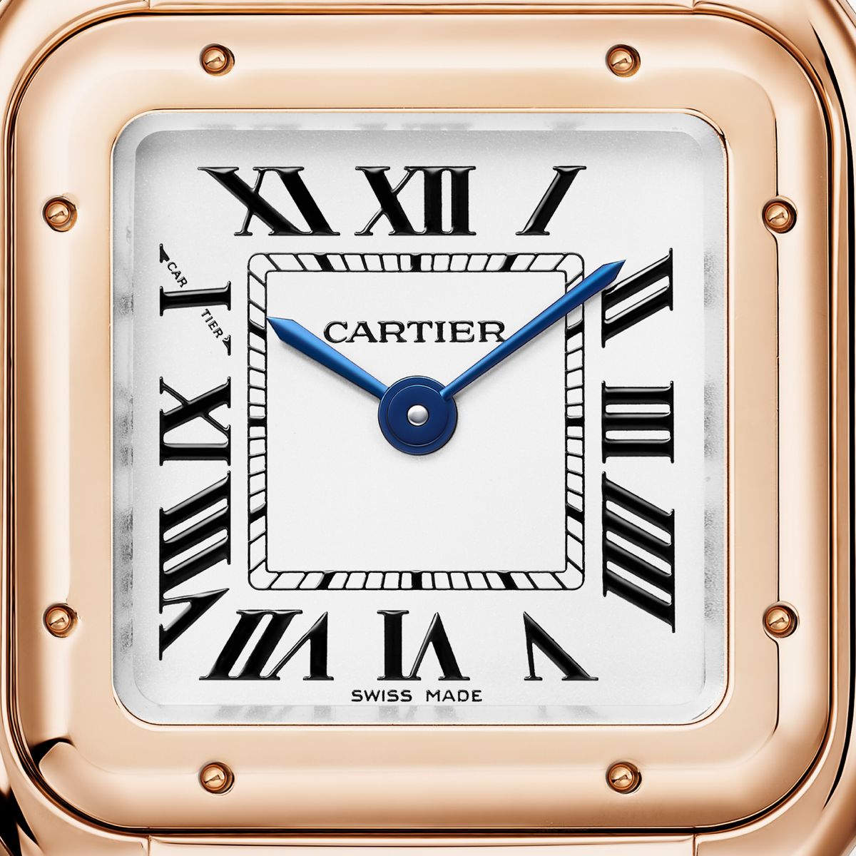 Panthère de Cartier | Small Model | WGPN0060