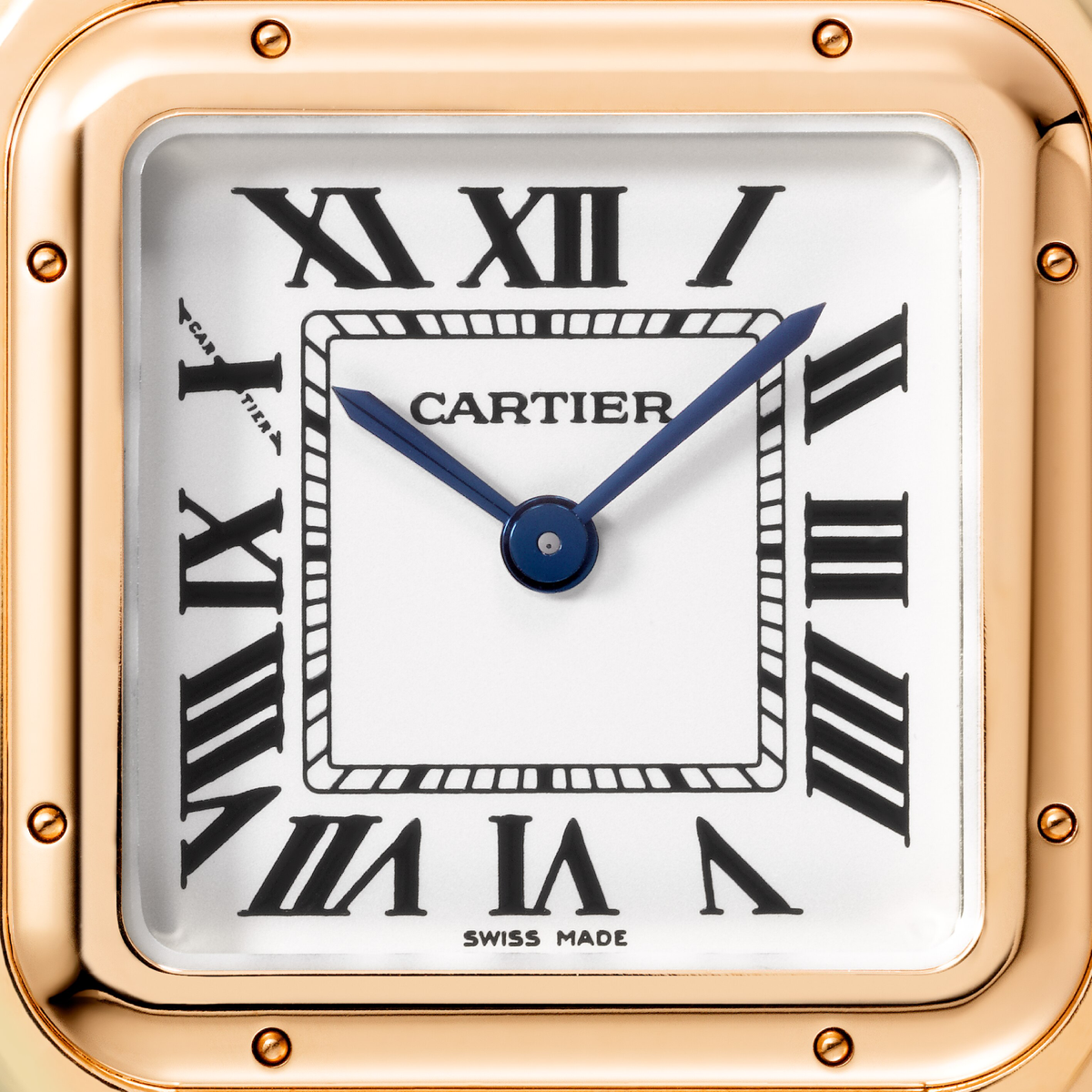 Panthère de Cartier | Medium Model | WGPN0061