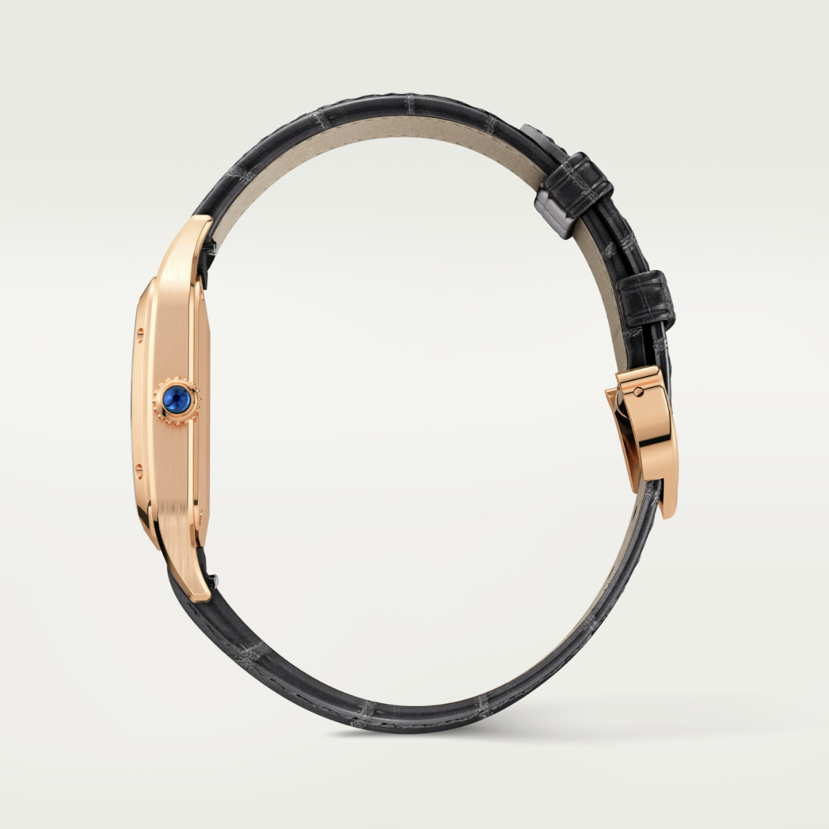 Santos-Dumont de Cartier Small Model | WGSA0022