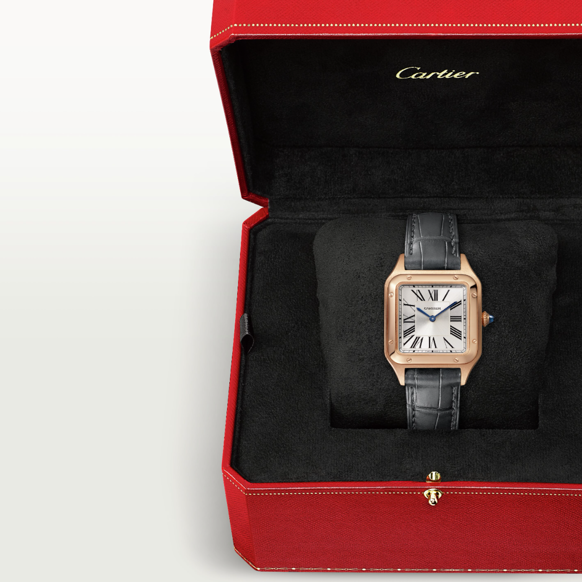 Santos-Dumont de Cartier Small Model | WGSA0022