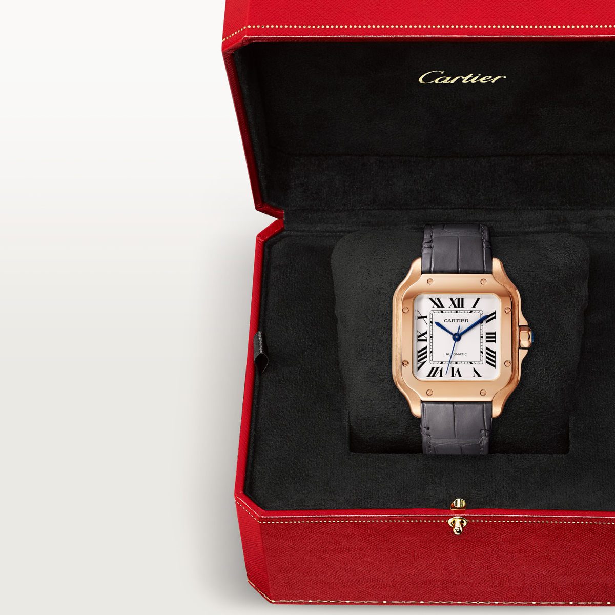 Santos De Cartier Medium Model | WGSA0028