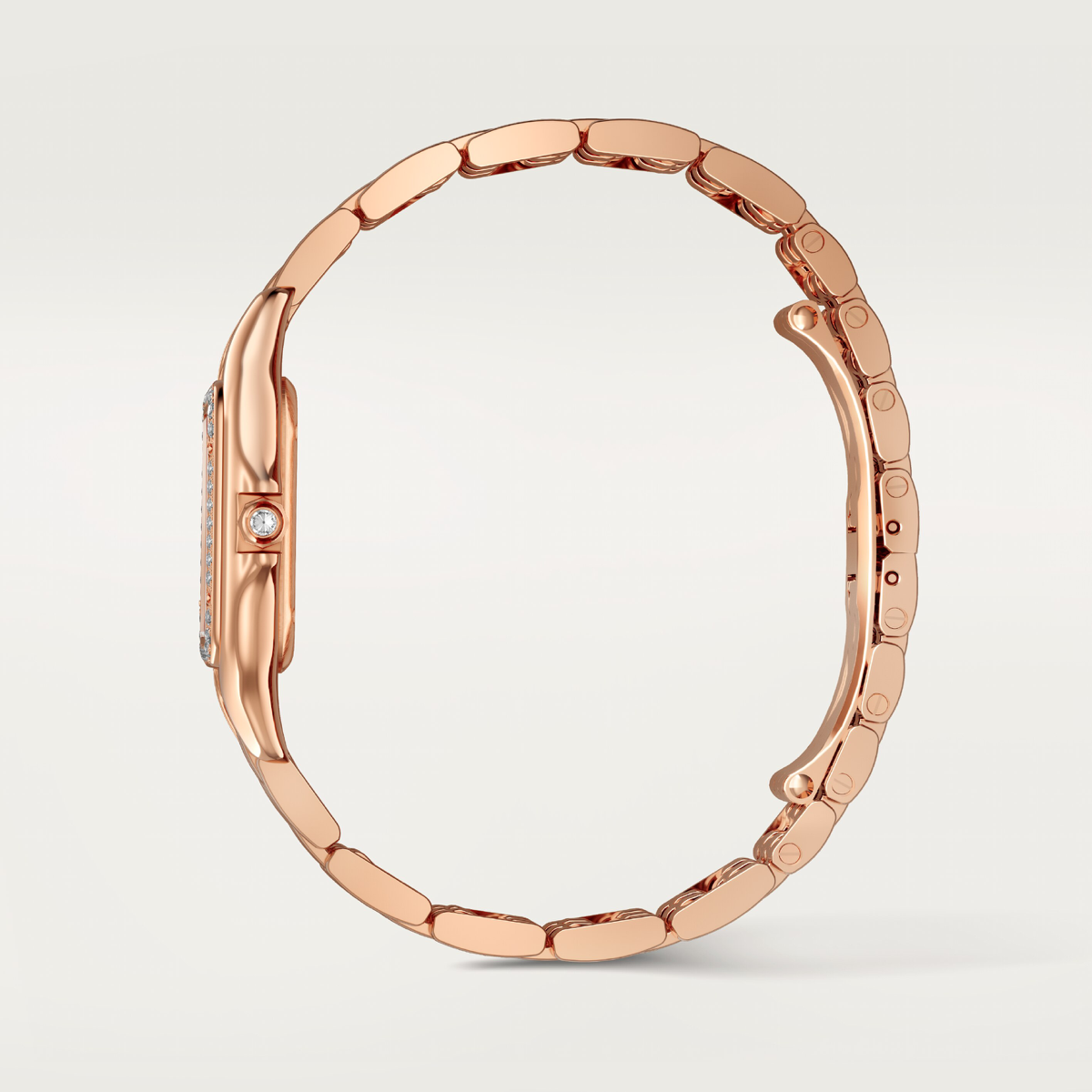 Panthère de Cartier |  Medium Model | WJPN0092